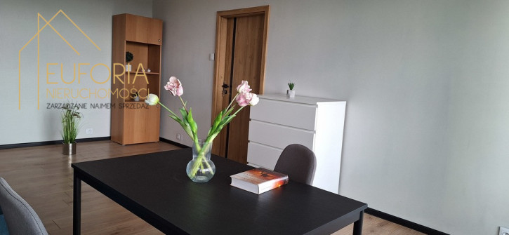 Mieszkanie Wynajem Łódź Łódź-Górna 4